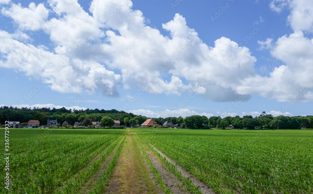 rural landscape with a field and sky