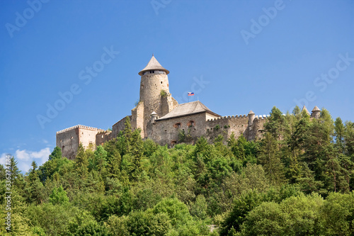 Obraz na płótnie Gothic castle Stara Lubowna in Slovakia w salonie