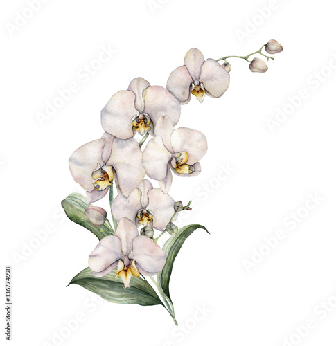 Watercolor bouquet with white orchids. Hand painted tropical card with flowers, branch and leaves isolated on white background. Floral illustration for design, print, background. Summer template.