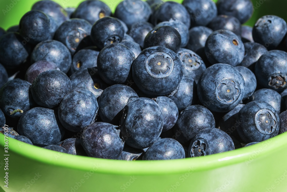 Ripe juicy blueberries in a green bowl under the rays of the bright sun. Fruits and berries, vegetarian and healthy eating. Super food. Ready to eat. Ripe juicy blueberries in a green bowl under the rays of the bright sun. Fruits and berries, vegetarian and healthy eating. Super food. Ready to eat.