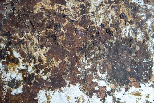 painting rusty metal surface. background