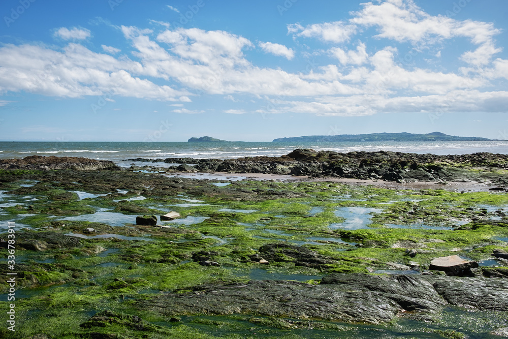 Coast of the atlantic ocean at low tide.