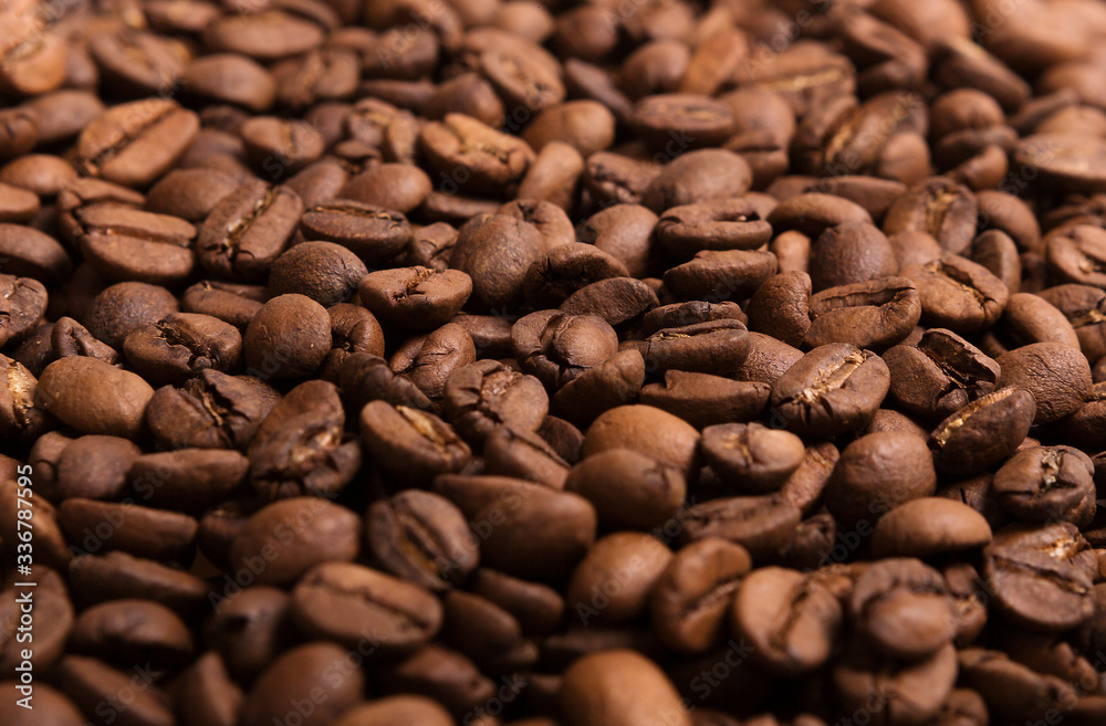Coffee beans laid out on a white background surface Coffee beans laid out on a white background surface