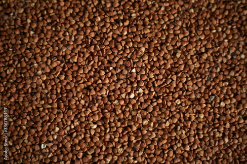 buckwheat texture close up macro © Konstantin Lenkov