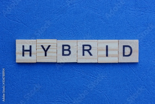  word hybrid made from gray letters lies on a blue background photo