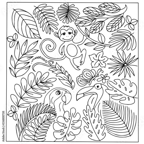Set of tropical plants  leaves  monkeys  parrots. Black and white vector image in a doodle style. For the design of wallpaper  packaging  textiles and childrens coloring
