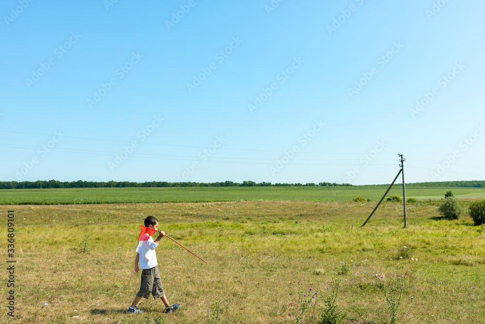 Young boy walkes in a clear field on a summer day. He catches butterflies or insects with a butterfly net. Happy childhood concept Young boy walkes in a clear field on a summer day. He catches butterflies or insects with a butterfly net. Happy childhood concept