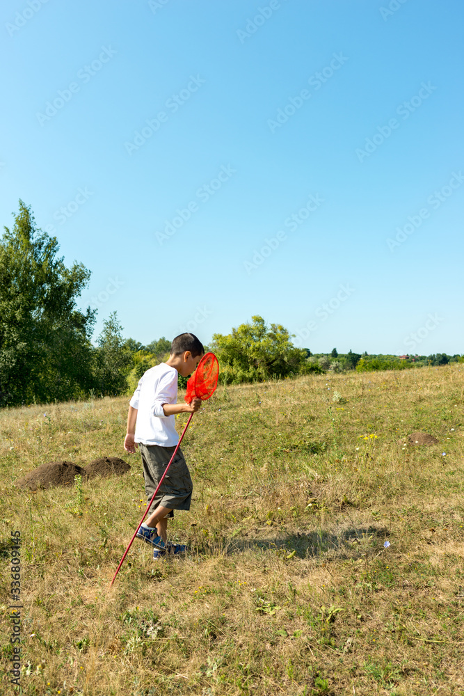 Young boy walkes in a clear  field on a summer day. He catches butterflies or insects with a butterfly net. Happy childhood concept