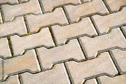 Closeup detail of gray concrete yard pavement slabs.