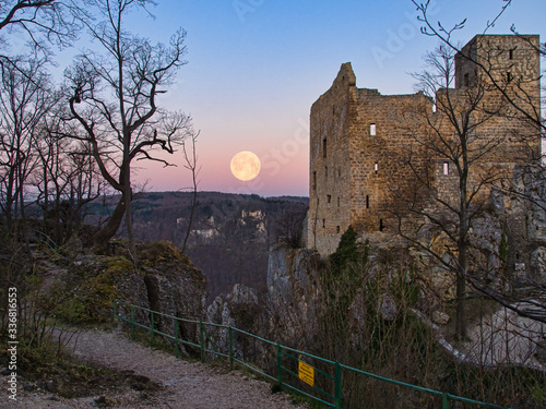 Supermoon above three and a ruin in the forground photo