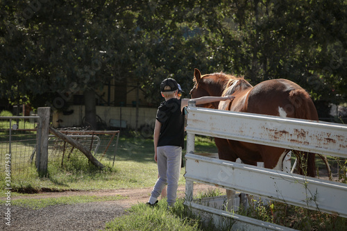 Two young boys patting horse at farm gate on country road