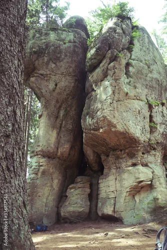 Fototapeta samoprzylepna Wielbłąd