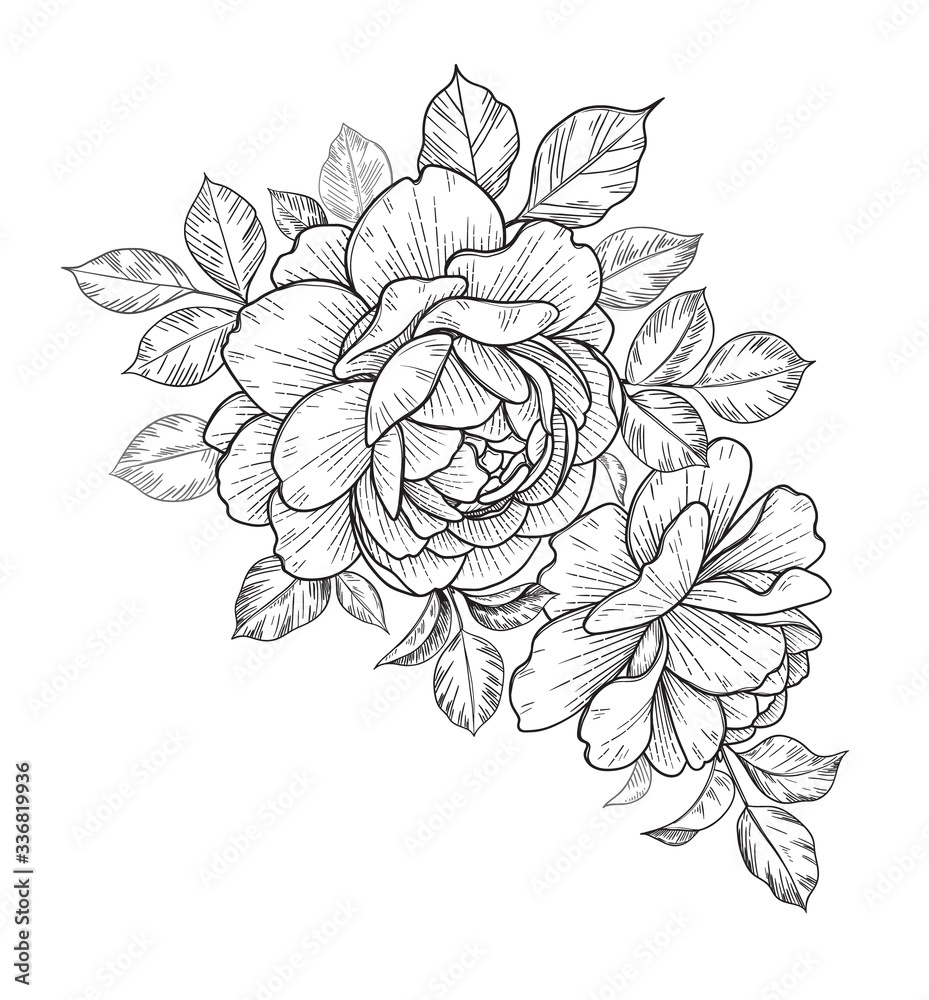 Hand Drawn Floral Composition with Roses