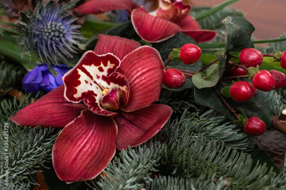 Winter bouquet of cymbidium, eringium,hypericum,nobilis,iris,cones and dry Lotus inflorescence on the brown wooden table Winter bouquet of cymbidium, eringium,hypericum,nobilis,iris,cones and dry Lotus inflorescence on the brown wooden table