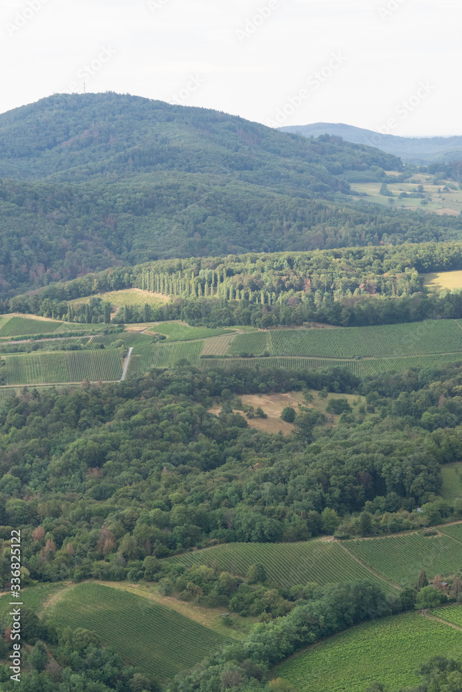 Luftbild: grüne Landschaft an der hessischen Bergstrasse