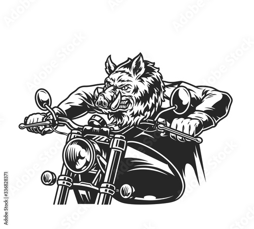 Angry wild boar head rider