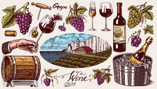 Vineyard and Wine Set. Ice bucket, Corkscrew Cork Grapes, wooden barrel. Sparkling champagne, bottle and glass Cheers. Vine labels. Hand drawn Engraved vintage sketch for poster, restaurant menu.