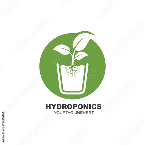 hydroponics logo vector illustration design