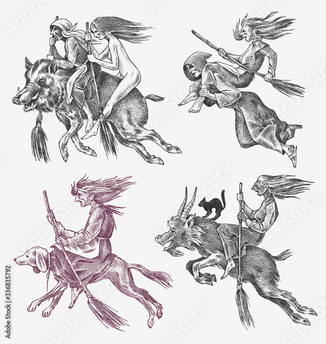 Witch flies with a broom and a dog, a goat and a boar. Ancient mythical Magic characters set. Engraved monochrome sketch. Hand drawn vintage old Fortune illustration.
