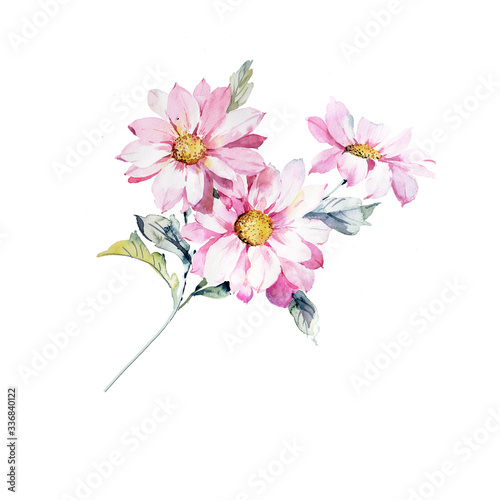 Watercolor flowers illustration