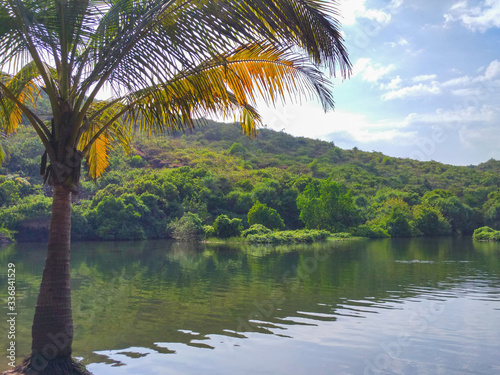 Palm tree in the sun on the background of a tropical lake  green mountains and clouds  tropical landscape  sun glare and color illumination.