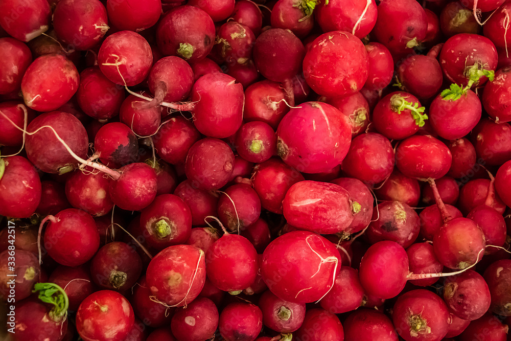 Appetizing red young radish. Farm vegetables for a healthy diet. Appetizing red young radish. Farm vegetables for a healthy diet.
