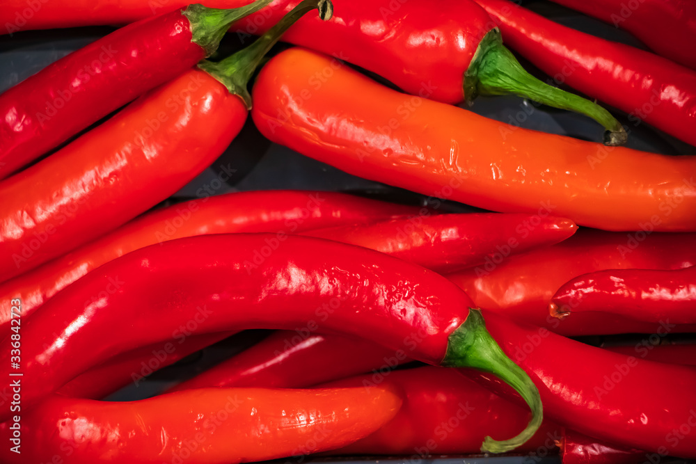 Ripe red hot chili peppers. Vegetables for Mexican dishes