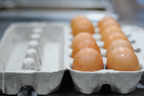 raw brown chicken egg in carton box