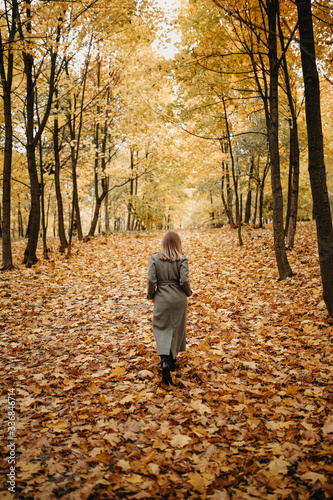 woman in a gray coat is walking along an autumn path in yellow trees and leaves. © velimir