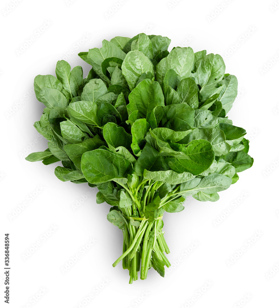Bunch of spinach leaves on isolated white background Bunch of spinach leaves on isolated white background