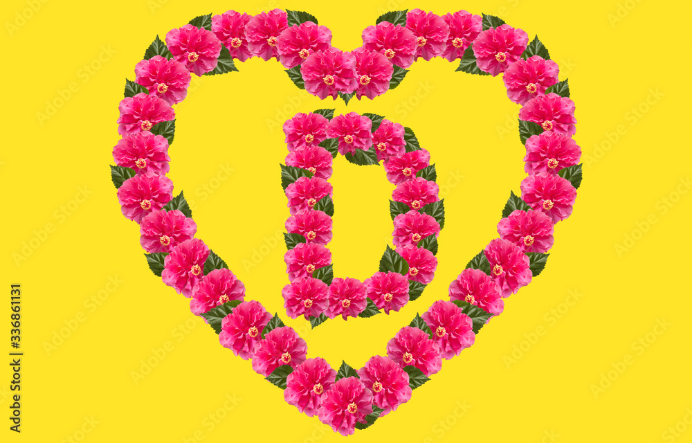 Alphabet D Design using Pink Hibiscus Flower and love shape on isolated Background. China Rose love shape letter.Double headed Pink Hibiscus font