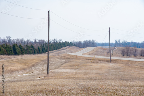 power lines in the field and road