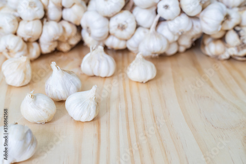 Closeup of Garlic bulbs on wooden table with garlics blur background.