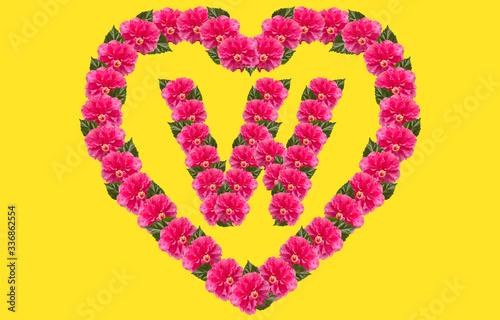 Alphabet W Design using Pink Hibiscus Flower and love shape on isolated Background. China Rose love shape letter.Double headed Pink Hibiscus font