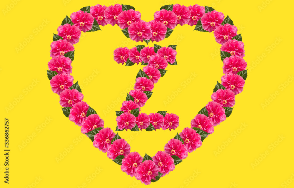 Alphabet Z Design using Pink Hibiscus Flower and love shape on isolated Background. China Rose love shape letter.Double headed Pink Hibiscus font