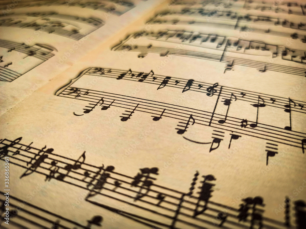 Fototapeta premium Book with notes close up