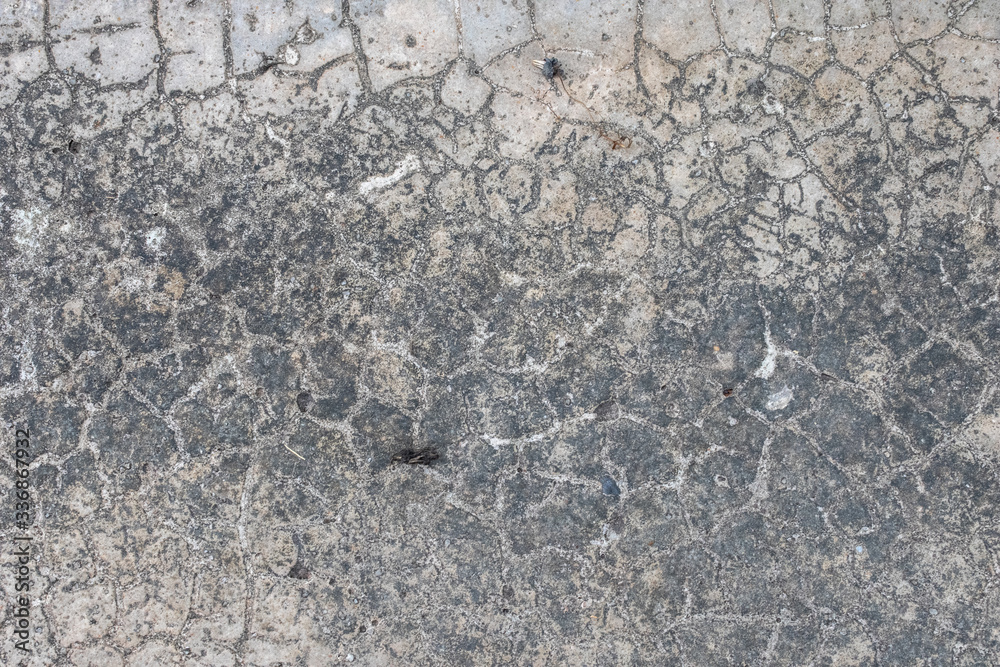 old cement crack ground texture old cement crack ground texture