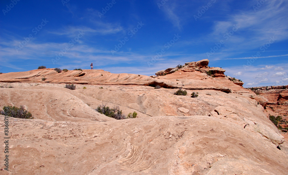 Fototapeta premium Beautiful sunny day in a canyon in the North wash canyon country of Southern Utah.
