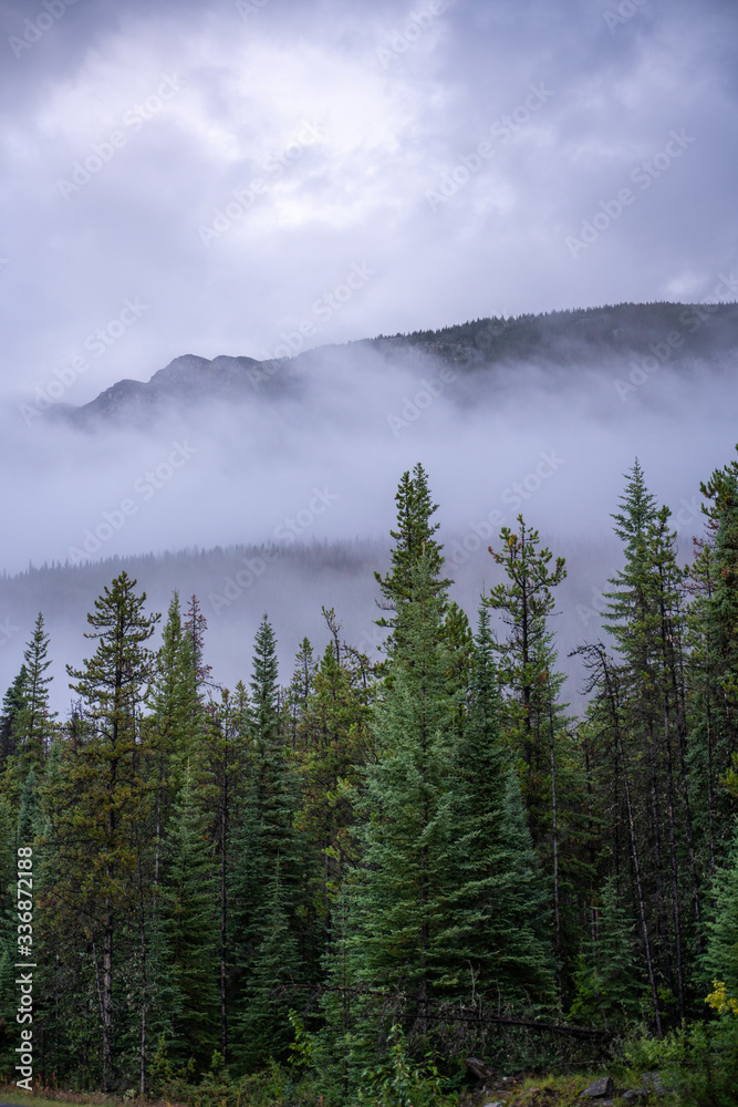 Morning fog over the mountains in Banff, Alberta Morning fog over the mountains in Banff, Alberta