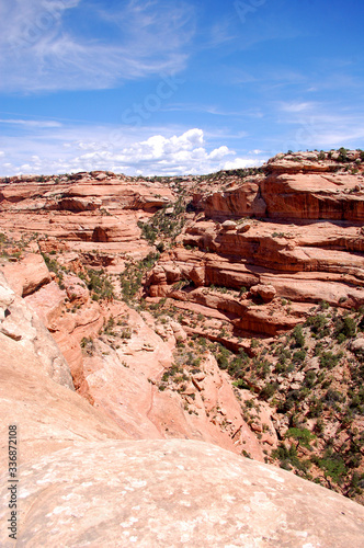 Spectacular view of fish canyon in canyon country in the Bears Ears wilderness of Southern Utah. 