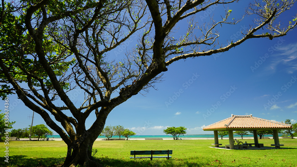Paradise view of an Asian gazebo,alcove against the background of the ocean. Idyllic vibrant Japanese park with gazebo. green lawn and tropical trees in Okinawa park in Ishigaki city, sunny day Japan
