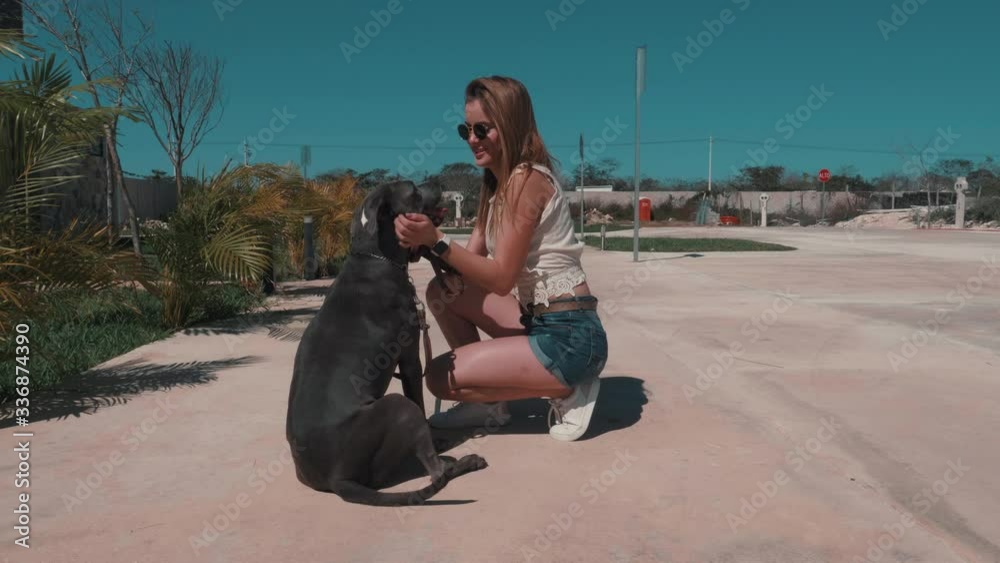 Young Woman petting her pitbul dog at a pet friendly resort, Slow Motion Young Woman petting her pitbul dog at a pet friendly resort, Slow Motion