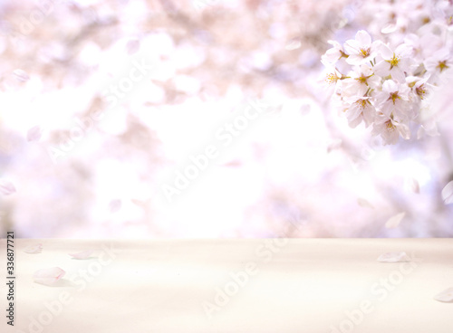 合成用背景　桜の木とテーブル