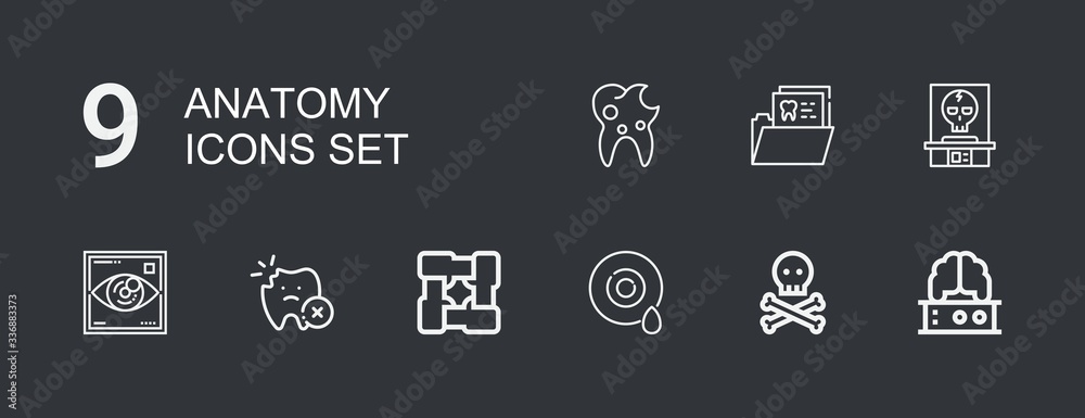 Editable 9 anatomy icons for web and mobile Editable 9 anatomy icons for web and mobile