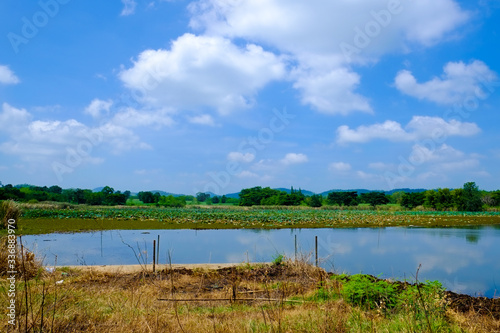 big lake with green field and blue sky