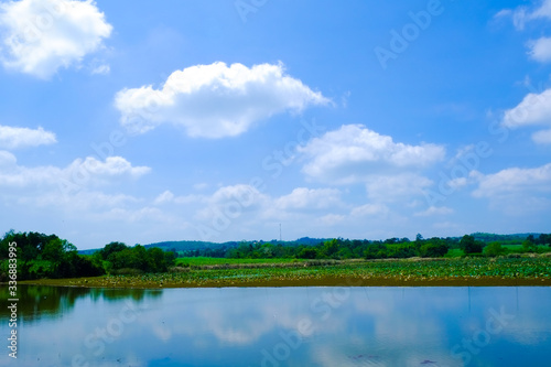 big lake with green field and blue sky