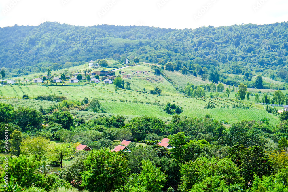 Obraz premium nature green field with mountainscape