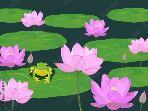 Lotus and frog.