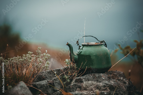 An old green kettle stands on a stone on top of a mountain. A teapot thrown in the forest.