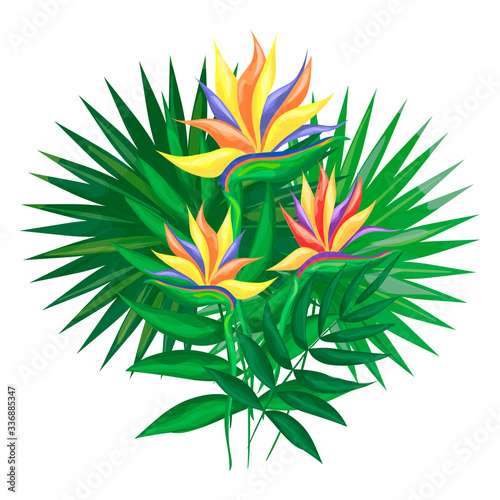 Bouquet of exotic flowers and leaves. Tropical elements for design. Isolated vector illustration on a white background.